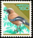 Eurasian Jay (Garrulus glandarius)