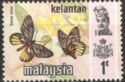 Malayan Jezebel (Delias ninus)