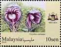 Orchids of Malaysia