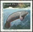Amazonian Manatee (Trichechus inunguis) 