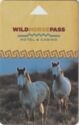 Wild Horse Pass Hotel & Casino