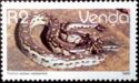 Southern African Python (Python sebae natalensis)