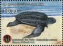 Leatherback Sea-Turtle (Dermochelys coriacea)