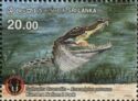 Saltwater Crocodile (Crocodylus porosus)