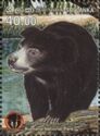 Sloth Bear (Melursus ursinus)