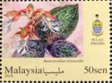 Orchids of Malaysia