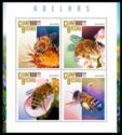 Western or European Honey Bee (Apis mellifera)