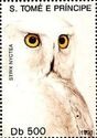 Snowy Owl Strix nyctea