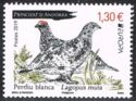 Rock Ptarmigan (Lagopus muta)