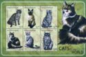Cats of the World