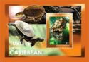 Turtles of the Caribbean