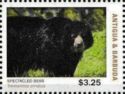 Spectacled Bear (Tremarctos ornatus)