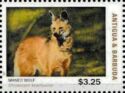 Maned Wolf (Chrysocyon brachyurus)