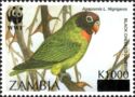 Black-cheeked Lovebird (Agapornis personata nigrigenis)
