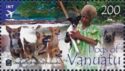 Dogs of Vanuatu