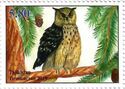 Eurasian Eagle-owl (Bubo bubo)