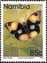 Yellow Pansy (Junonia hierta ssp. cebrene)