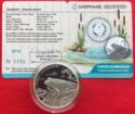 20 Lira (Toros Kurbağası, Frog)