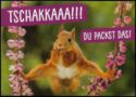 Tschakkaaa!!! Du packst das! - squirrel balaning on flowers
