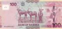 100 Namibia Dollars