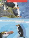 Royal Penguins