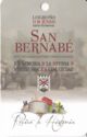 San Bernabé
