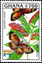 Golden Pansy (Precis sophia) - overprinted