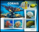 Corals