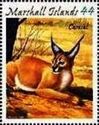 Caracal (Caracal caracal)