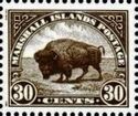 American Bison (Bos bison)