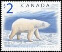 Polar Bear (Ursus maritimus)