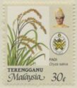 Oryza sativa - Portrait of Sultan Mizan