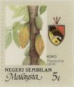 Agricultural Products- Theobroma cacao