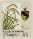 Agricultural Products- Oryza sativa
