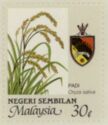 Agricultural Products- Oryza sativa