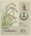 Agricultural Products- Oryza sativa