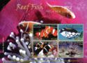 Reef Fish (Assorted)