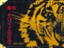 Year of the Tiger