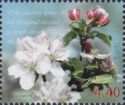 Spring Stamp - Apple Blossom (Malus Domestica)