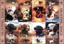 Dogs Hunting Dogs