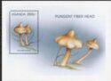 Inocybe sororia