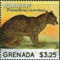 Fishing cat