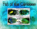 Fish of the Caribbean
