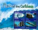Fish of the Caribbean
