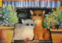 Cats Art by Renate Koblinger.