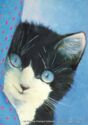 Cats Art by Renate Koblinger.