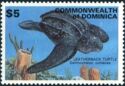 Leatherback Sea Turtle (Dermochelys coriacea)