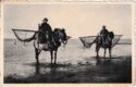 Shrimp fishermen Oostduinkerke-Bad