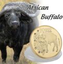 10,000 Kwacha (African Wild Buffalo)
