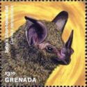 Seba's Short-tailed Bat (Carollia perspicillata)
